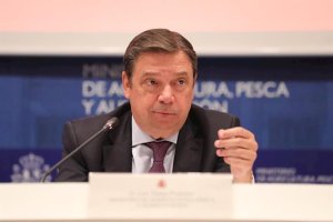 Luis Planas, ministro de Agricultura.