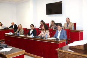 El grupo socialista en una sesión plenaria en Adra.
