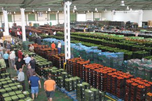 El PIB almeriense  pivota en su mayor porcentaje sobre el sector hortofrutícola.