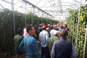 La jornada finalizó con una visita a los invernaderos de ensayo.