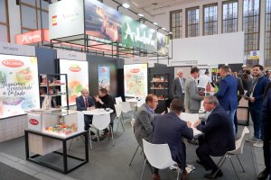 Visitantes disfrutan del evento