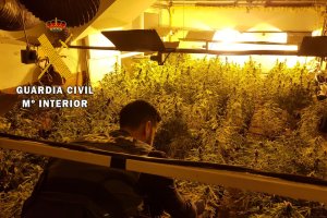 Plantación encontrada por la Guardia Civil en Almerimar.