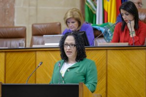 Rodríguez, en su etapa de parlamentaria de Vox.