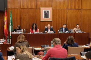Un momento en la Comisión de Igualdad de este jueves en el Parlamento andaluz.