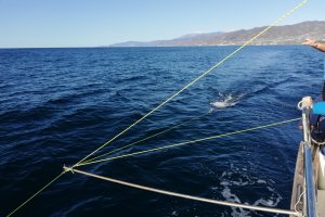 Embarcación ‘Blancazul’ recogiendo muestras.