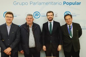 Representantes de Coag, Asaja y Upa con Casado en el Congreso