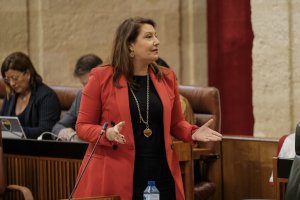 La consejera Crespo en una intervención en el Parlamento andaluz