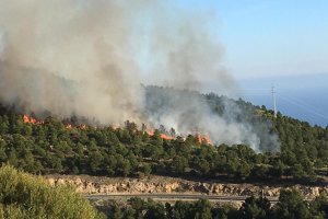 Incendio forestal en Enix.