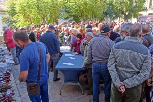 Éxito de participación en la jornada donde se entregaron 1.200 parras.