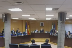 El único concejal de Vox, a la izquierda, en una esquina de la bancada del Pleno de Roquetas..