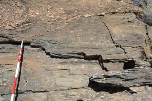 Grabados rupestres localizados por los agentes