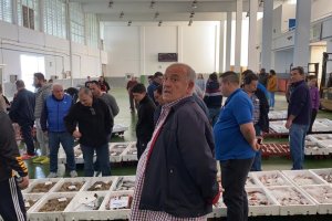 Actividad comercial ayer en la lonja de Carboneras.