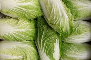 Bio Campojoyma produce 5 millones de piezas anuales