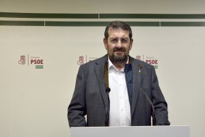 El portavoz socialista, Martín Gerez.