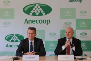 En la campaña 2018-2019 Anecoop ha superado las 842.800 toneladas en volumen comercializado.