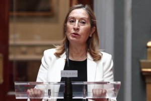 Ana Pastor, vicepresidenta segunda del Congreso.