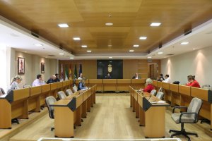 Primera sesión de la nueva comisión.