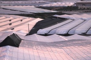 La agricultura intensiva es el pilar económico de la provincia.