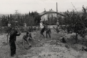 Niños en una colonia escolar durante la Guerra Civil.