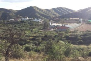 Paraje de El Cañico, en el término municipal albojense.