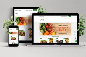 Imagen de la plataforma online creada.