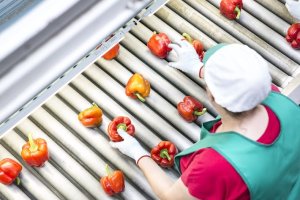 Una trabajadora de una empresa agrícola.