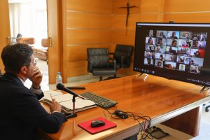Imagen del pleno por videoconferencia.