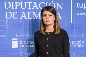 Angeles Martínez, vicepresidenta de la Diputación y diputada de Bienestar Social.