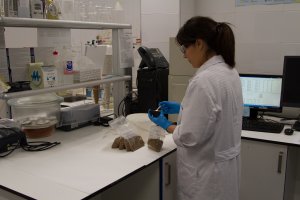 Laboratorio de investigación.