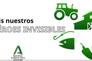 Imagen de la campaña.