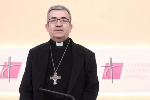 El secretario de la Conferencia Episcopal Española, Luis Argüello.