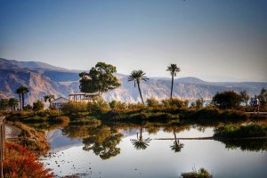 Ribera de la Algaida (Foto: Luna Serena Paz).