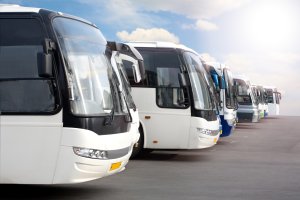 Autobuses de las asociaciones andaluzas.