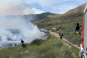 Bomberos del Levante luchan contra el fuego en Cuevas.