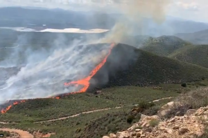 Imagen de Bomberos del Levante del incendio declarado este jueves.