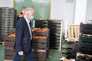 Gabriel Amat, este viernes en el pabellón Infanta Cristina.