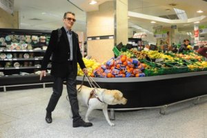 En estas semanas los perros guía sólo salen para acompañar a sus dueños al supermercado o la farmacia.