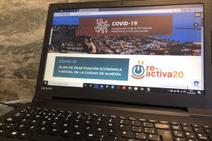 Las ayudas se solicitarán por internet.