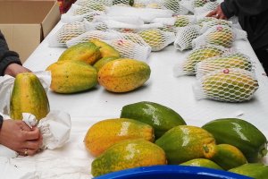 Papaya, una de las frutas que produce Las Palmerillas