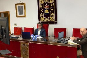 El alcalde durante la sesión plenaria telemática.