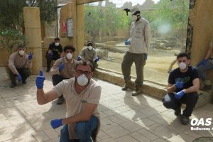 Oasys MiniHollywood Almería mantiene su actividad en cuanto a conservación y mantenimiento en época de cría