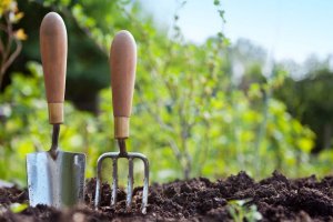 Porque ahora, como siempre, somos más cercanos y estamos a tu lado. Recuerda, somos un equipo.