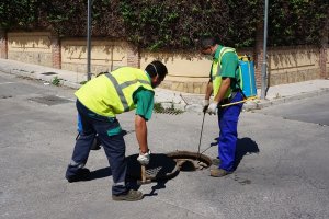 Trabajos de desinfección en Vícar.