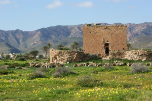 Vista de la Torre de los Alumbres, de Rodalquilar (Foto: José Gálvez).