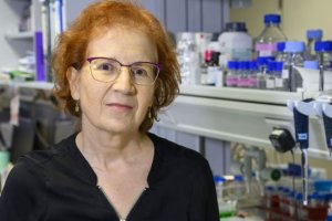 Del Val coordina 150 equipos de investigación sobre el coronavirus.