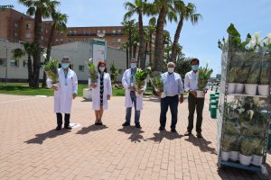 El alcalde ejidense, Francisco Góngora, ha hecho entrega de algunas de estas plantas decorativas.