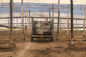 NOVIHUM, un sistema productivo eficiente.