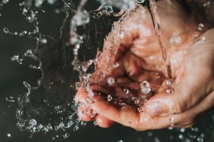 En la sección dedicada al campo almeriense el protagonismo fue el agua.