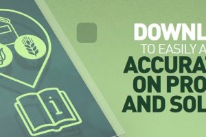 Imagen de la aplicación.