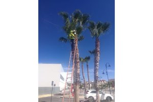 Instalación de cámaras de vigilancia en el mercado de Vera.